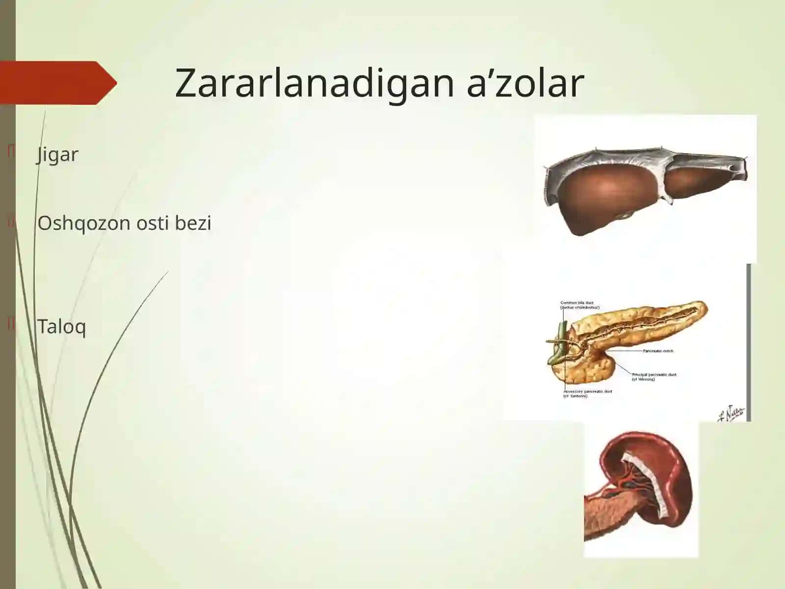Qorin parda orti azolari jaroxatlari 3