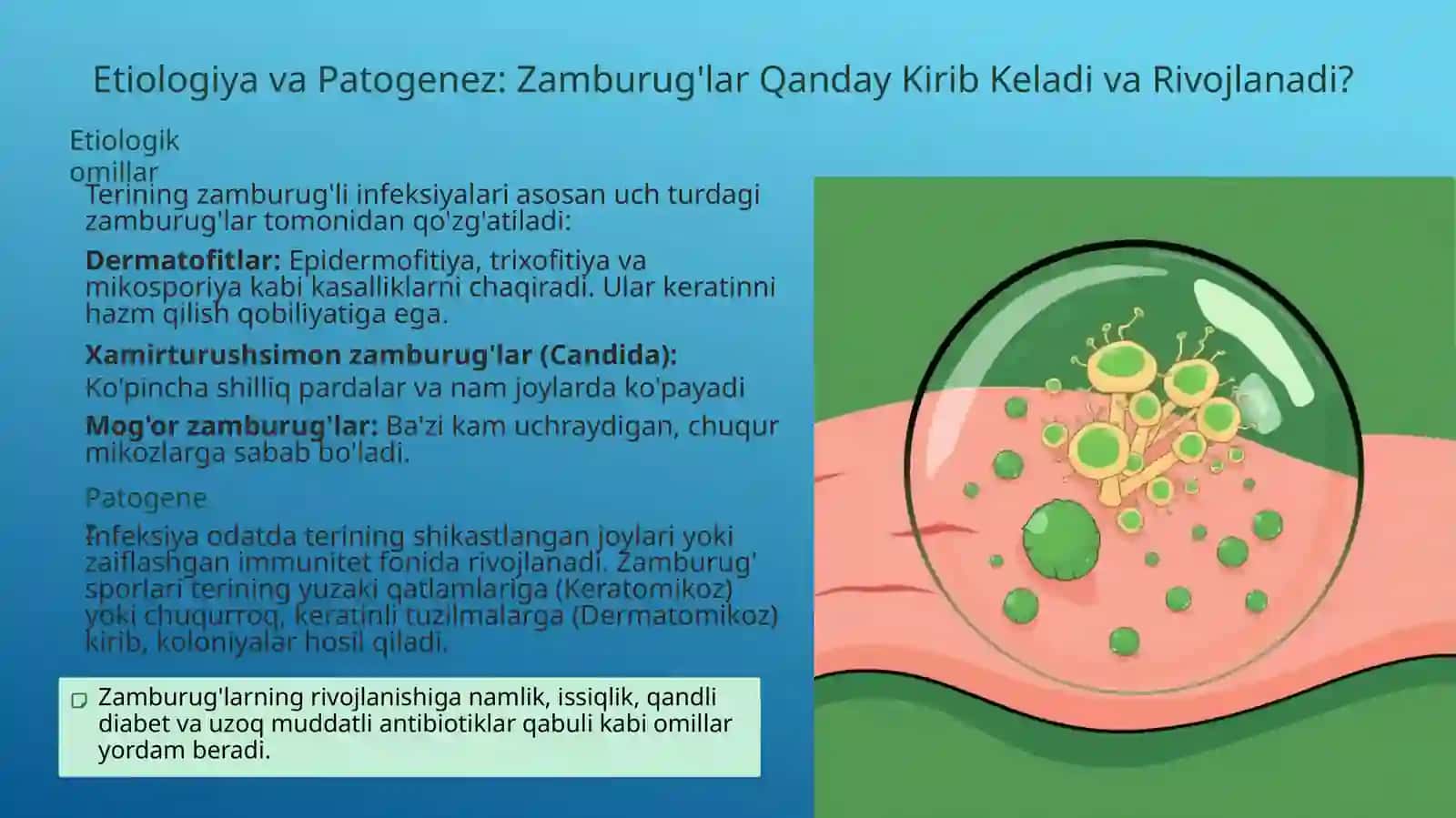 Terining zamburug'li infeksiyalari: Keratomikozlar va Dermatomikozlar 3