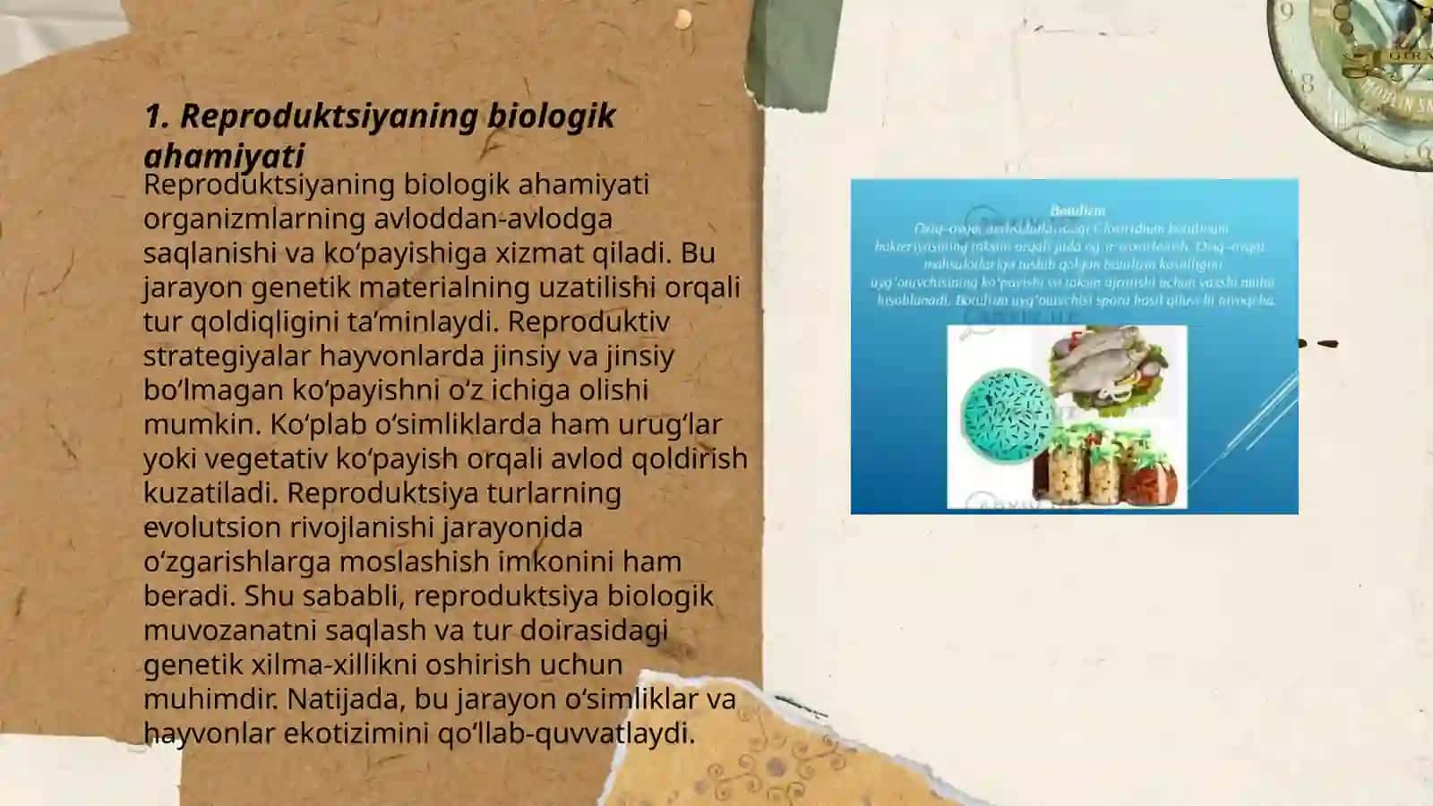 Reproduksiya turlarining biologik ahamiyati 3