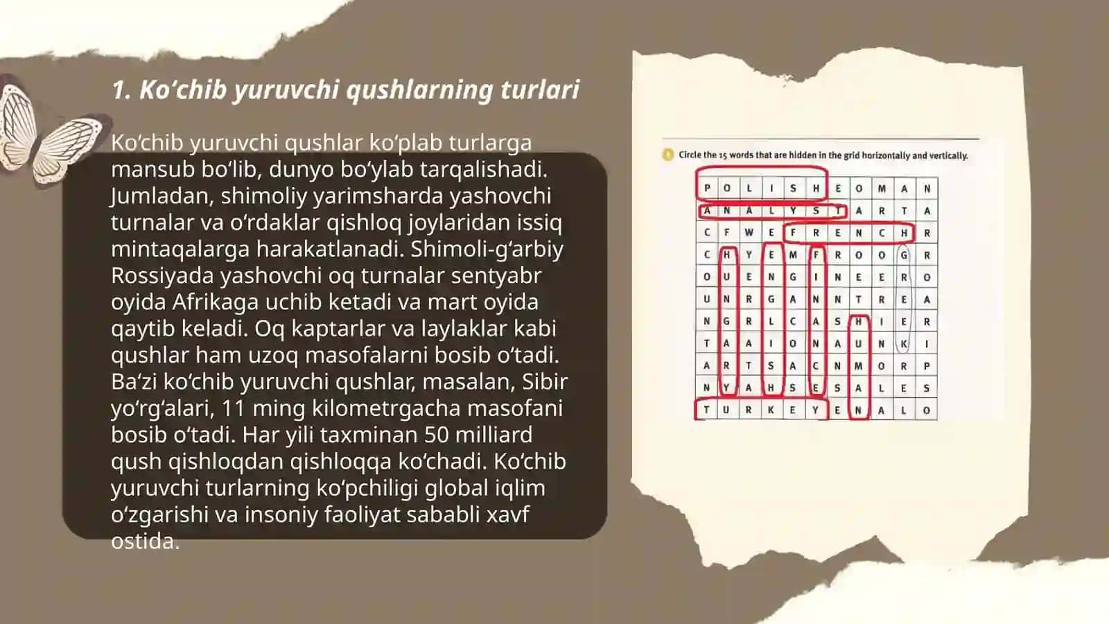 Koʻchib yuruvchi qushlar asosiy turlari va ularning faoliyati 3