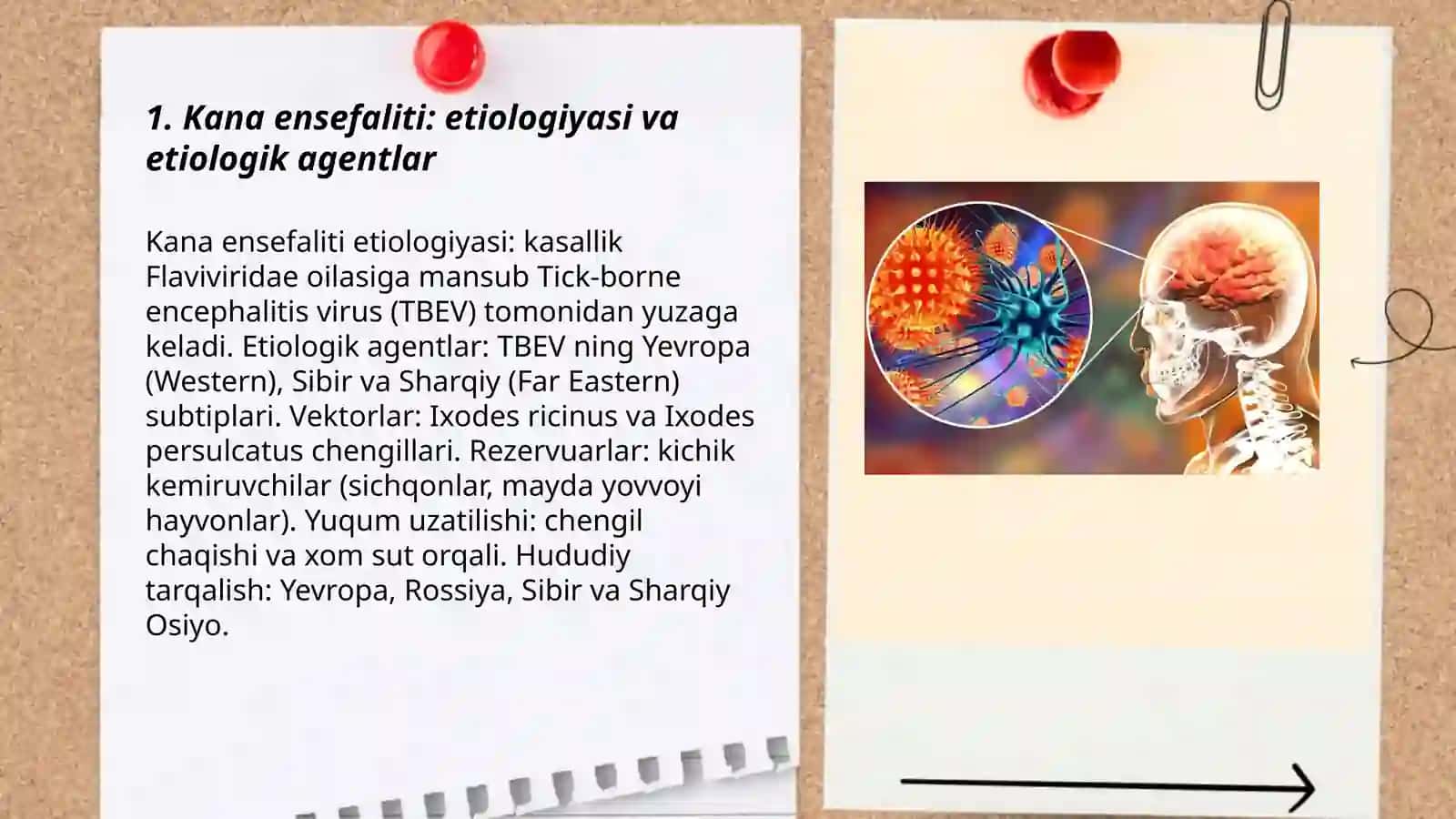 Kana ensefaliti. Etiologiyasi, epidemiologiya, klinikasi, diagnostikasi va davolash 3
