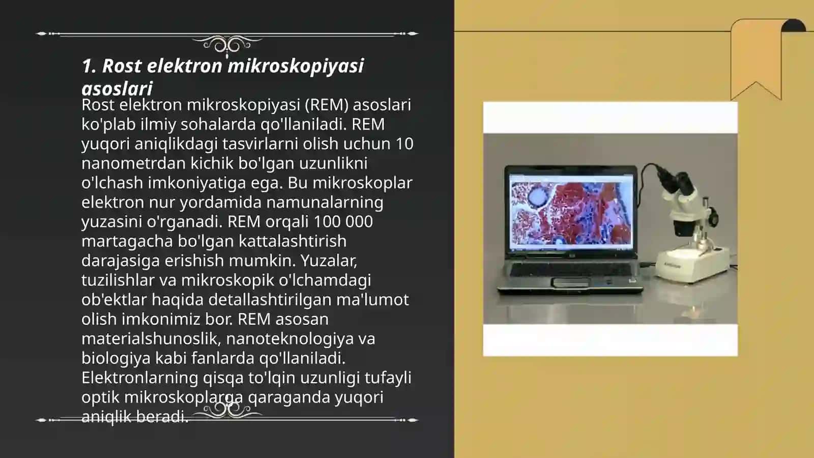 Rostr elektron mikroskopiyasi 3