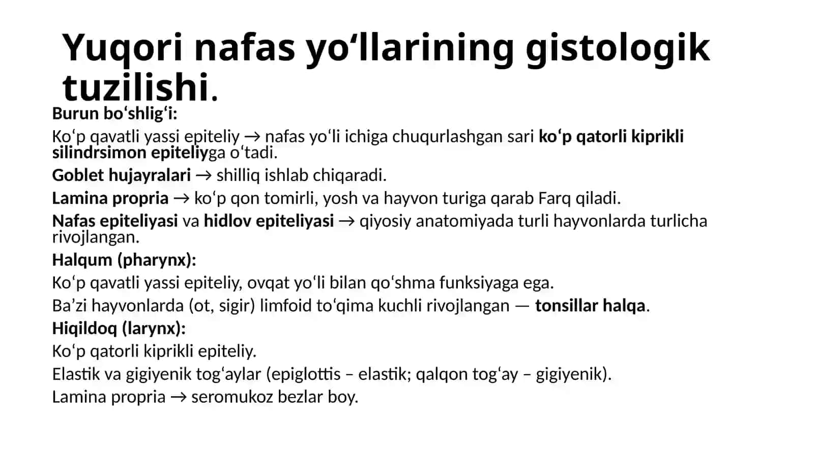 Nafas olish tizimi anatomiya va histologiyasi 3