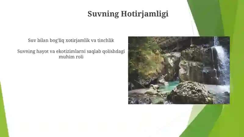 Tabiatning San'ati 3