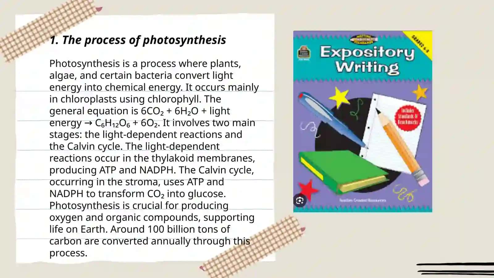 Photosynthesis Process 3