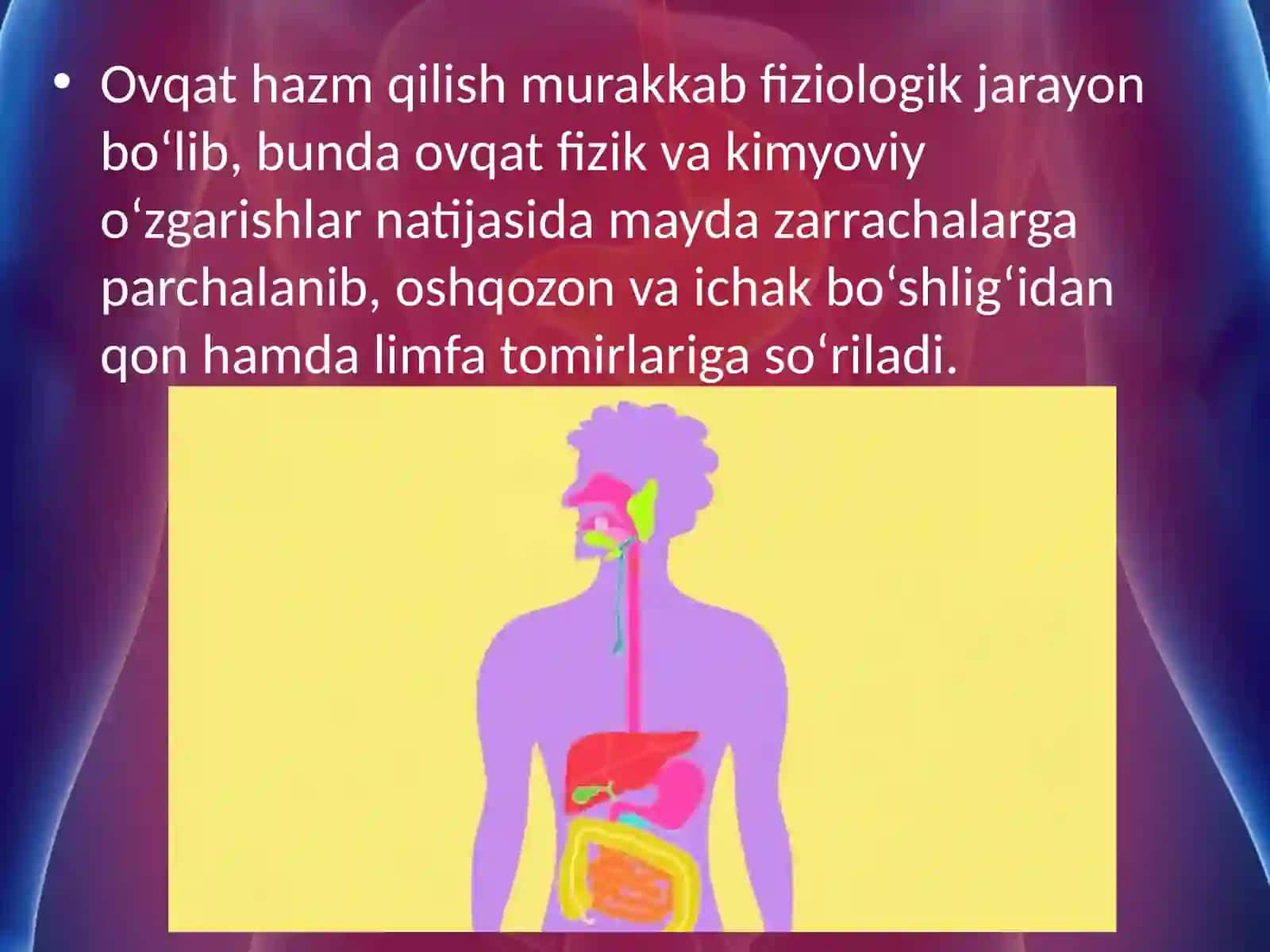 Ovqat hazm qilishning ahamiyati 3