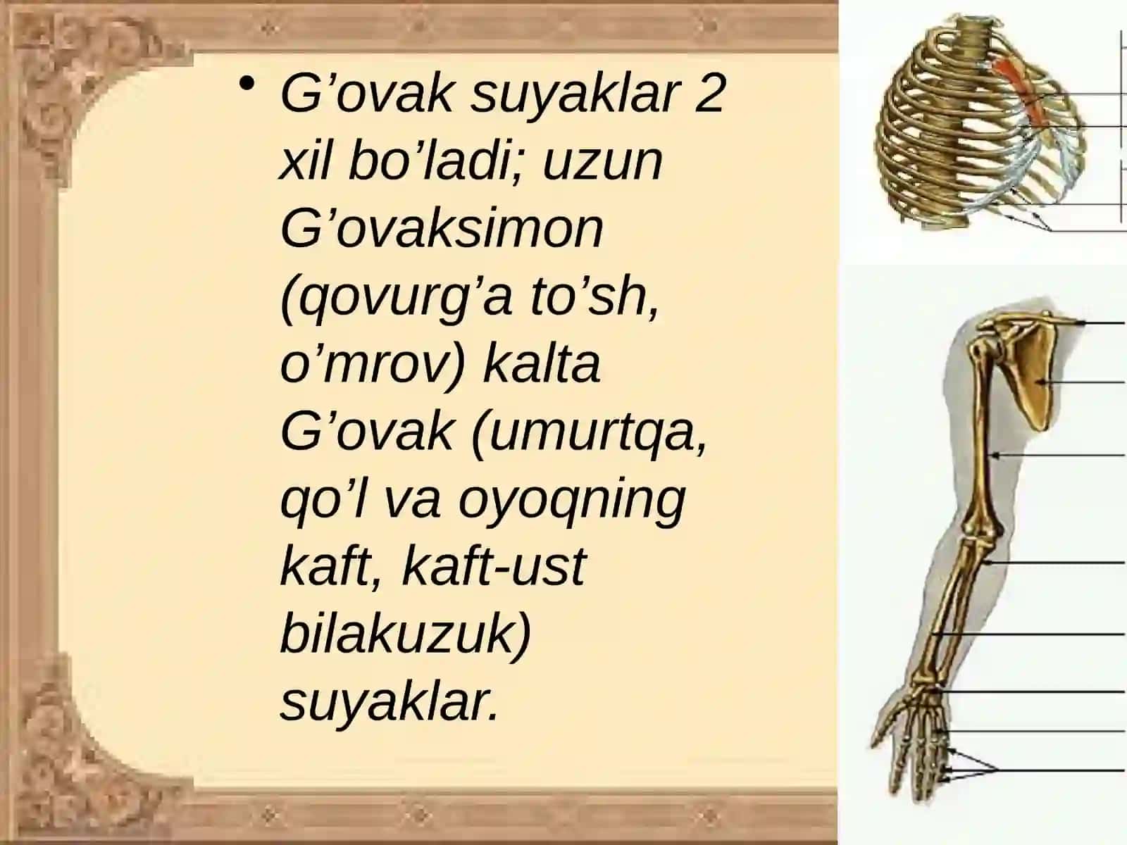 Qo`l suyaklari 3