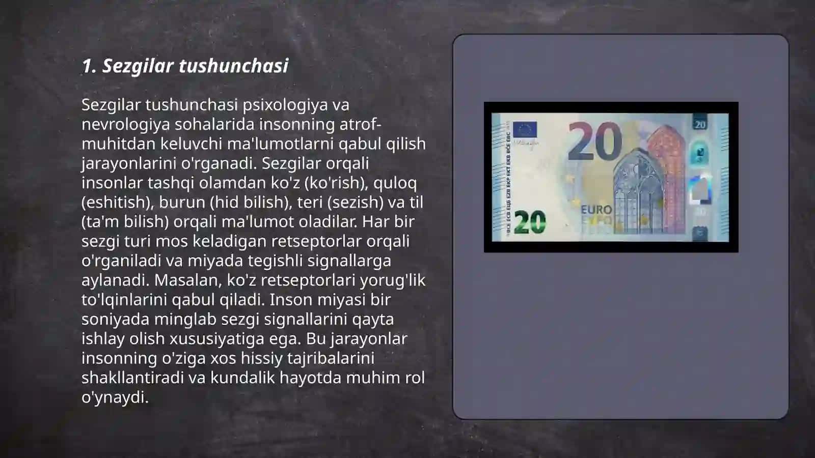 Sezgilar haqida umumiy tushuncha va uning nerv-fiziologik asoslari 3