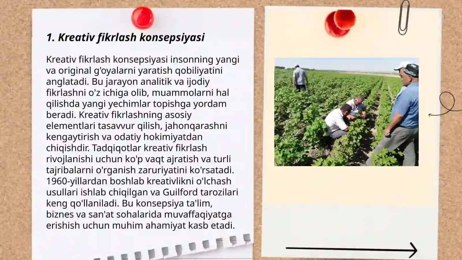 Kreativ fikrlashni baholashga doir namunaviy kognitiv topshiriqlarni ishlab chiqishga qaratilgan loyiha 3