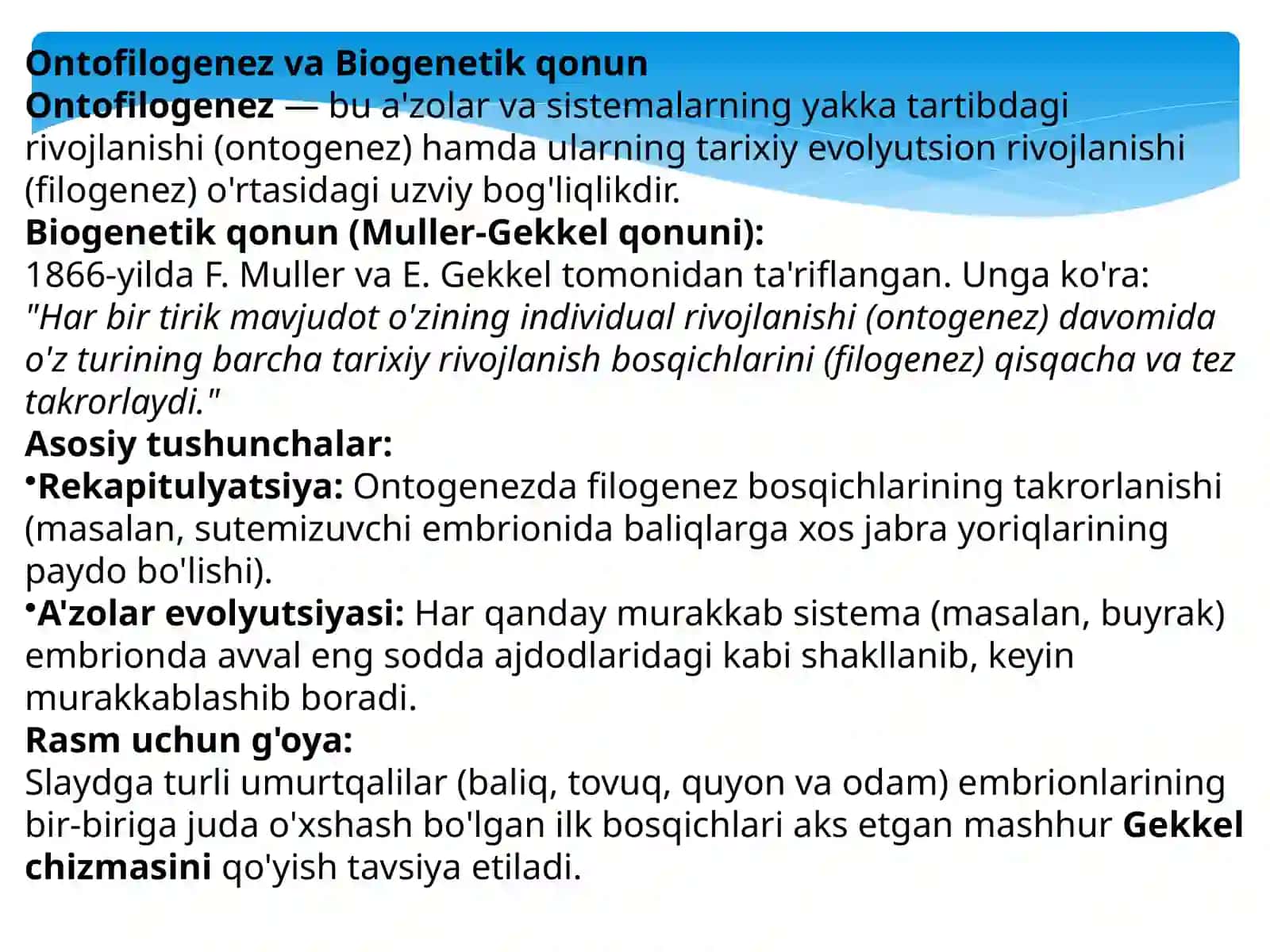 A’zolar sistemasining evolyutsiyasi va ontofilogenezi(Teri, skelet, ovqat hazm qilish va ayirish sistemalari) 3