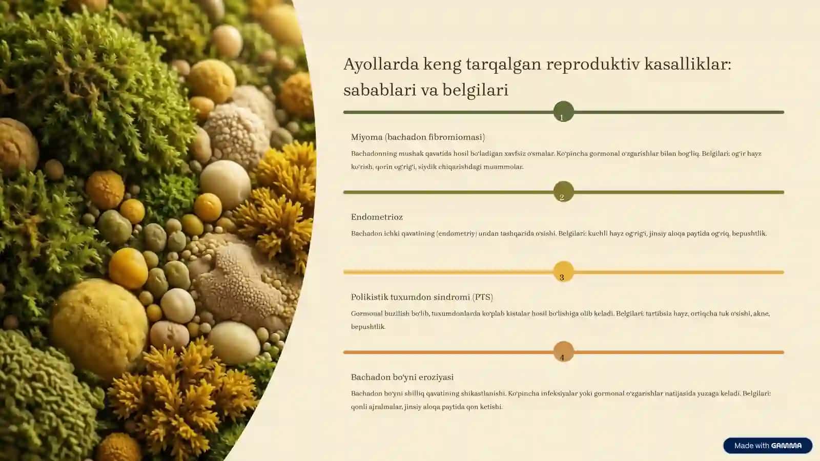 Ayollar va erkaklar reproduktiv aʼzolari kasalliklari 3