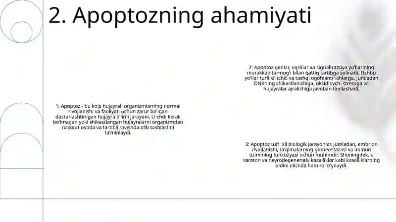 Hujayra Apoptozi Va Uning Biologik Ahamiyati 3
