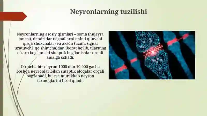 Neyronlar 3