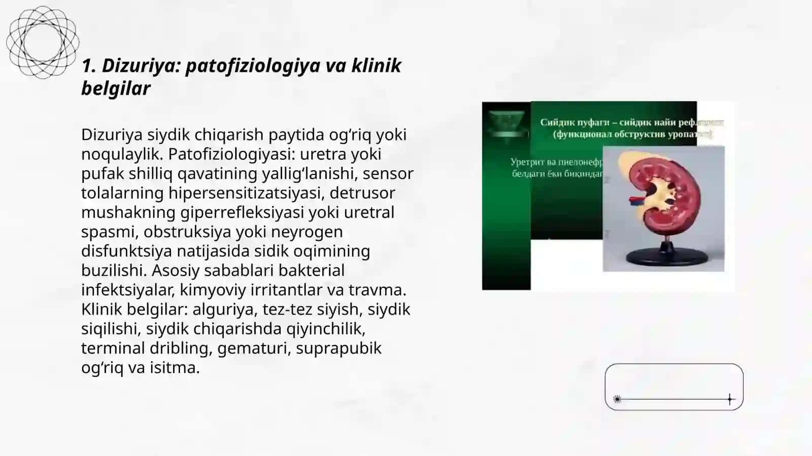 Dizuriya. O‘tkir va surunkali piyelonefrit, sistit va siydik diatezida profilaktika. UASH taktikasi 3