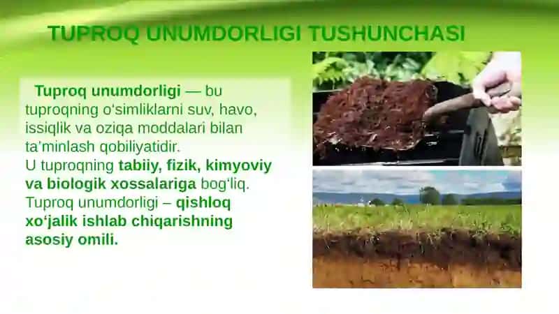 Lalmi va Yaylov tuproqlari  unumdorligi 3