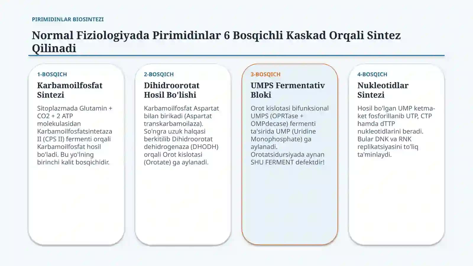 Orotatsiduriya: sabablari va uridin bilan davolash mexanizmi — 15 slayd 3
