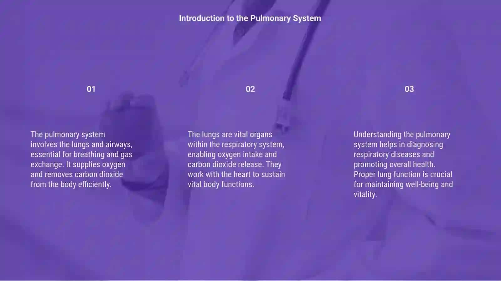 Lungs and a pulmonary system 3