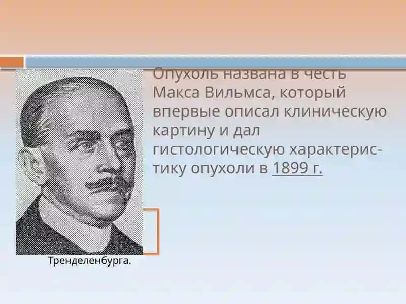 Нефробластома 3