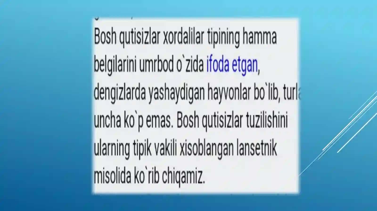 Boshskeletsizlarkenjatipi.lansetnikninghayotkechirishi 3