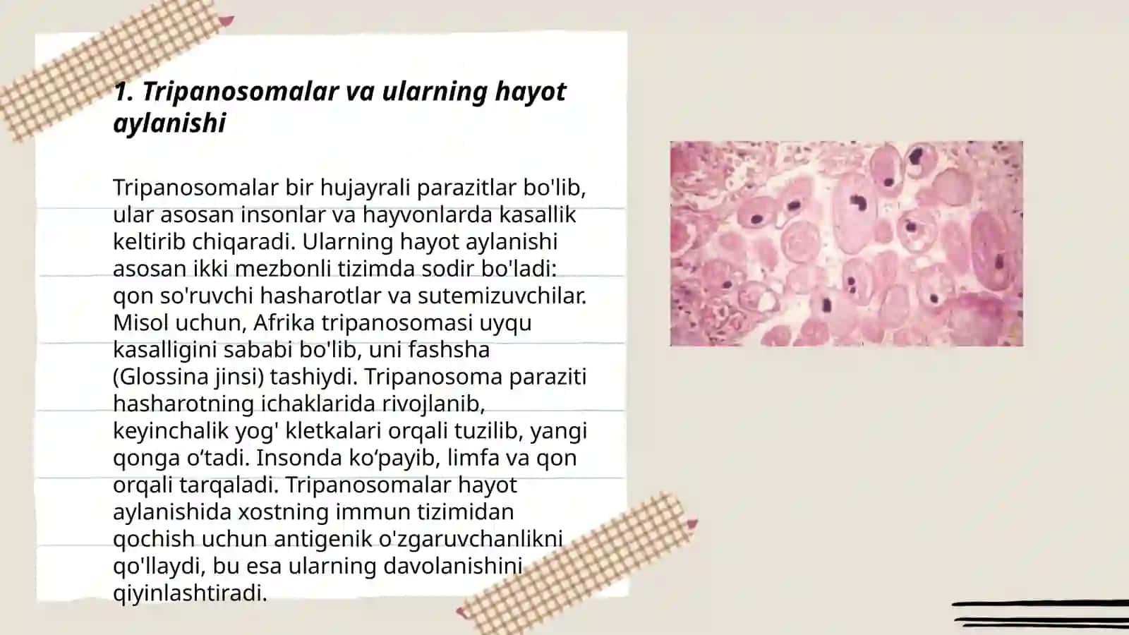 Tibbiy protozoologiya.Xivchinlilar - odam parazitlari 3