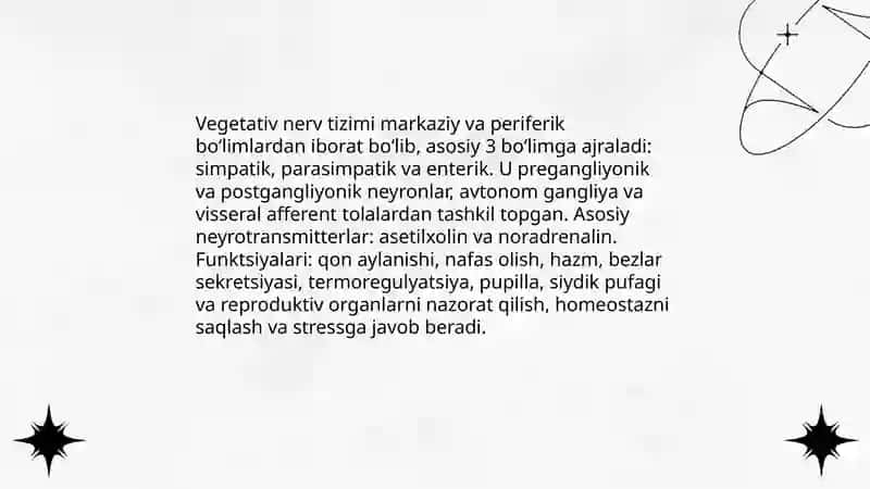 Vegetativ nerv tizimining asosiy qismlari fiziologiyasi 3