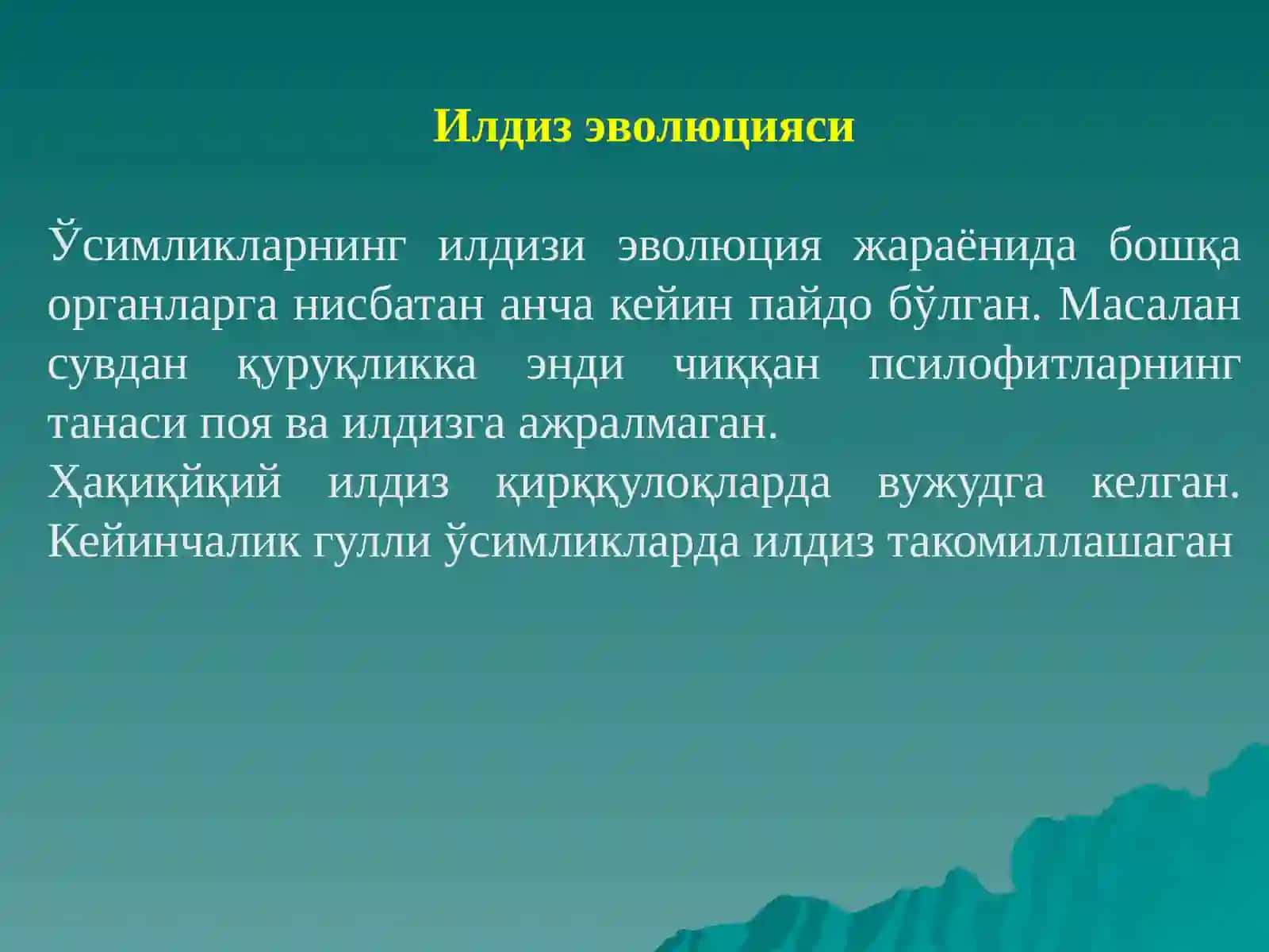 Илдиз ва илдизлар тизими 3