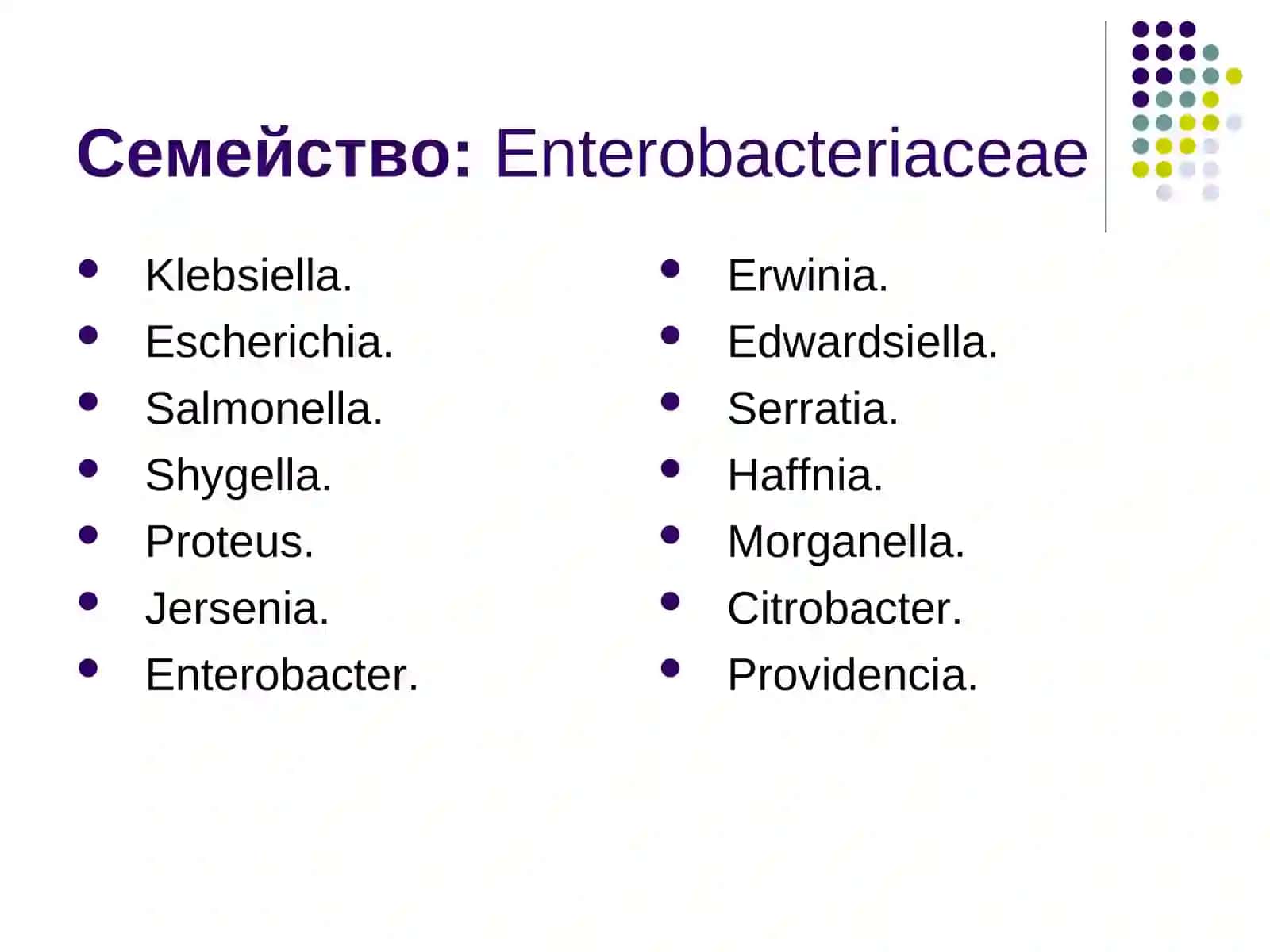 Характеристика семейства кишечных бактерий 3