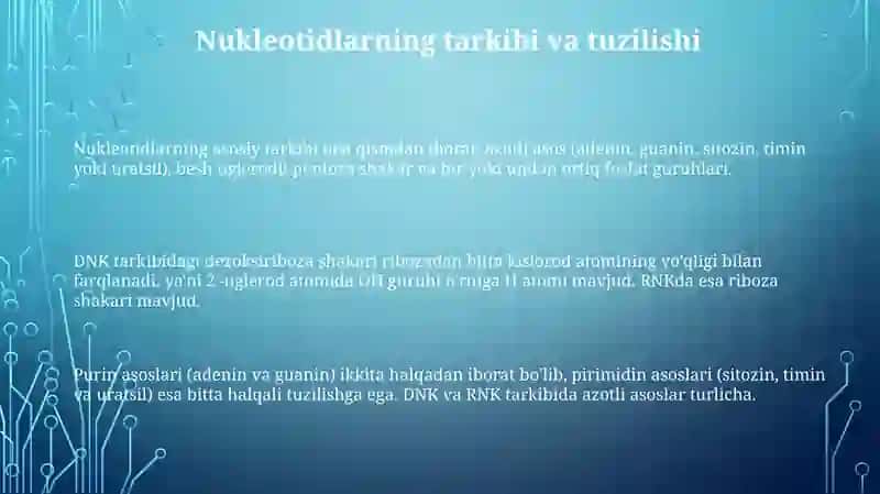 Nukleotidlarning tuzilishi va funksiyasi 3
