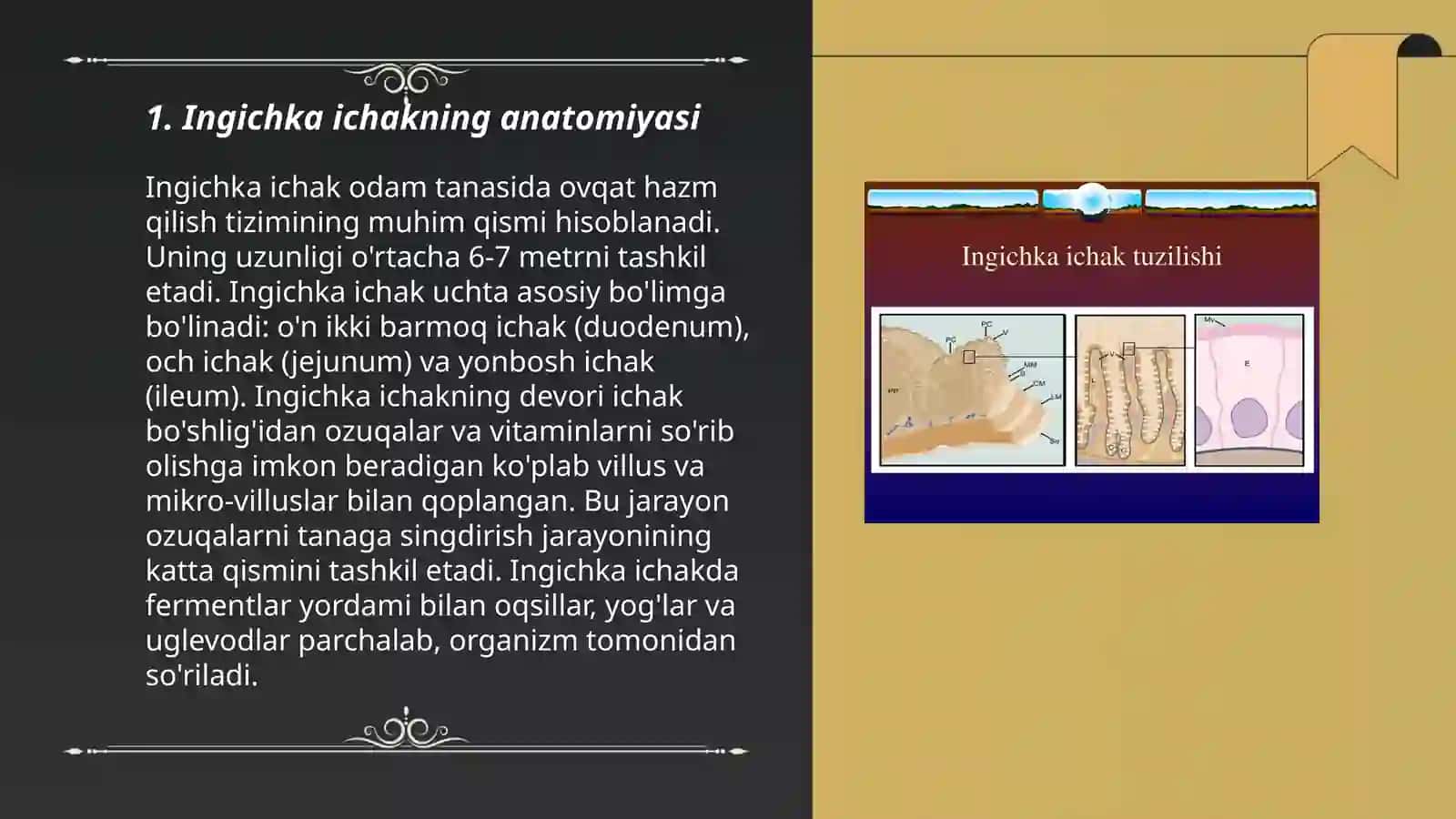 Ingichka ichak. Me’da osti bezi 3
