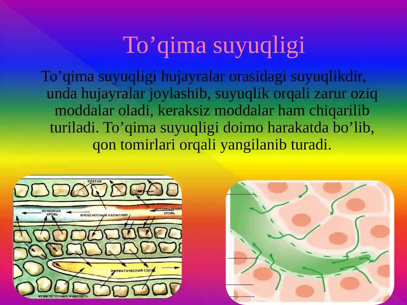 QON VA UNING VAZIFALARI 8-sinf biologiya 3