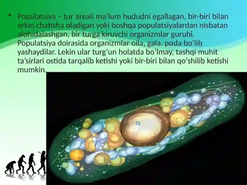 Populatsiya – turning tuzilish va evolutsiyaning boshlang‘ich birligi 3