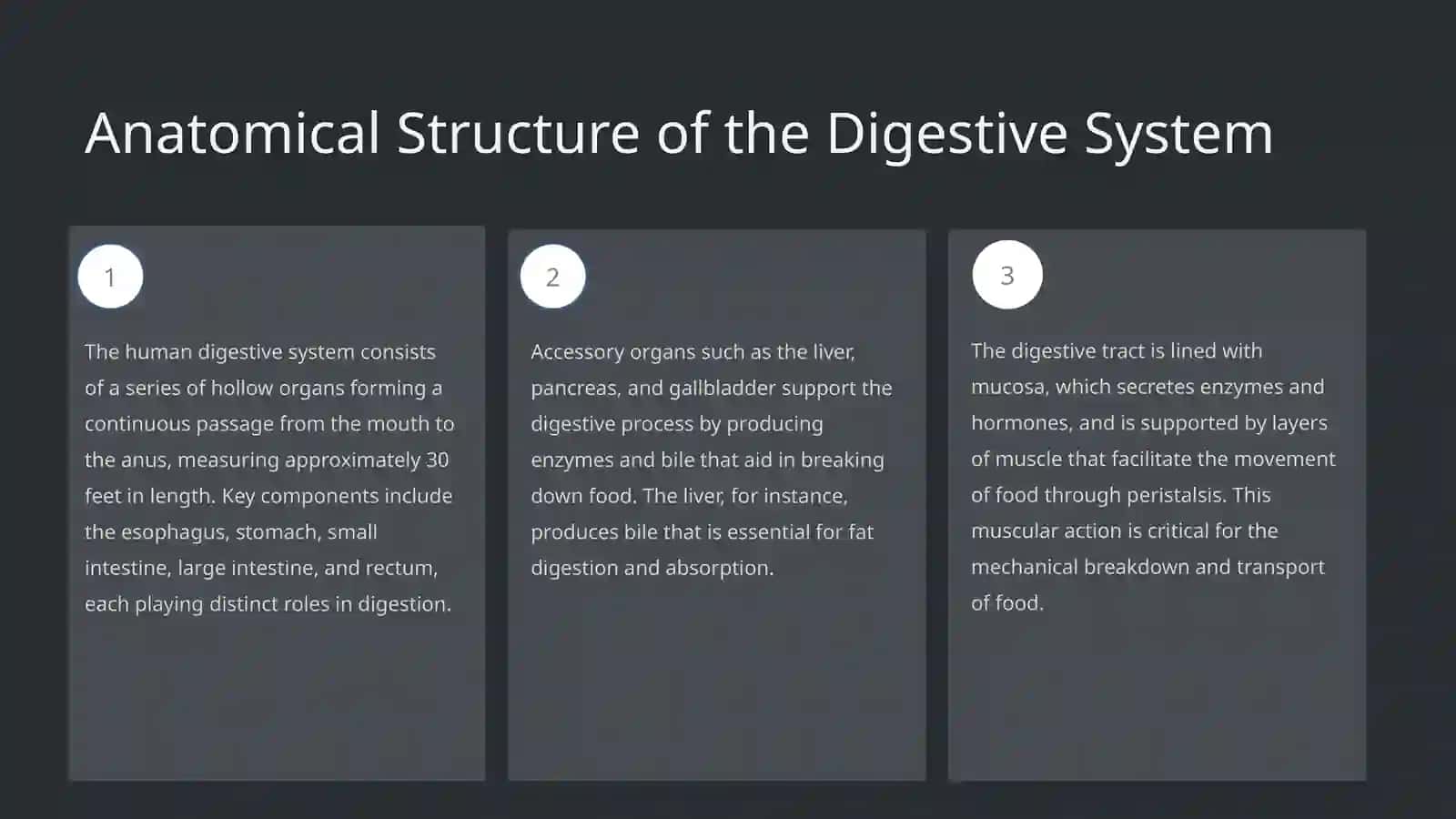 Digestive System 3