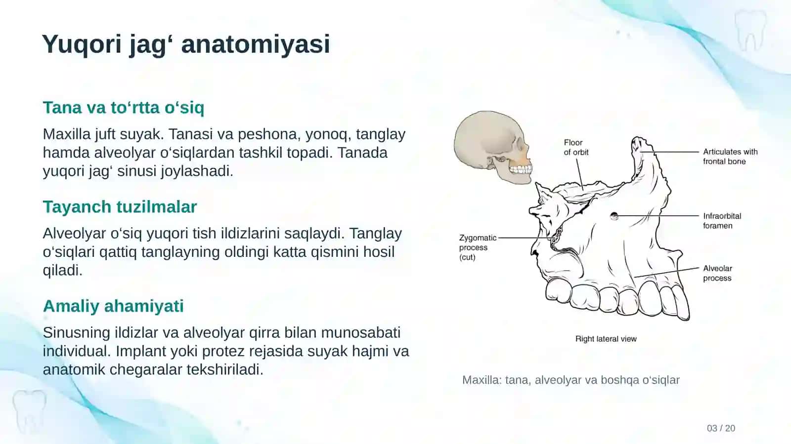 ORTOPEDIK STOMATOLOGIYA 3
