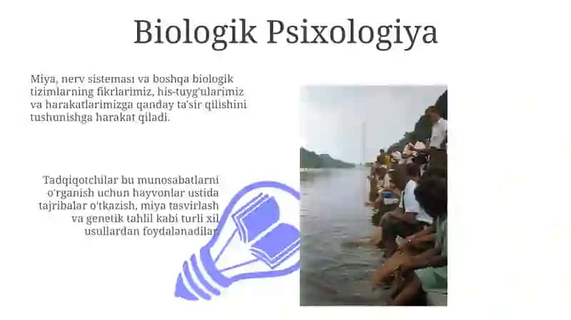 Biologik Psixologiya 3