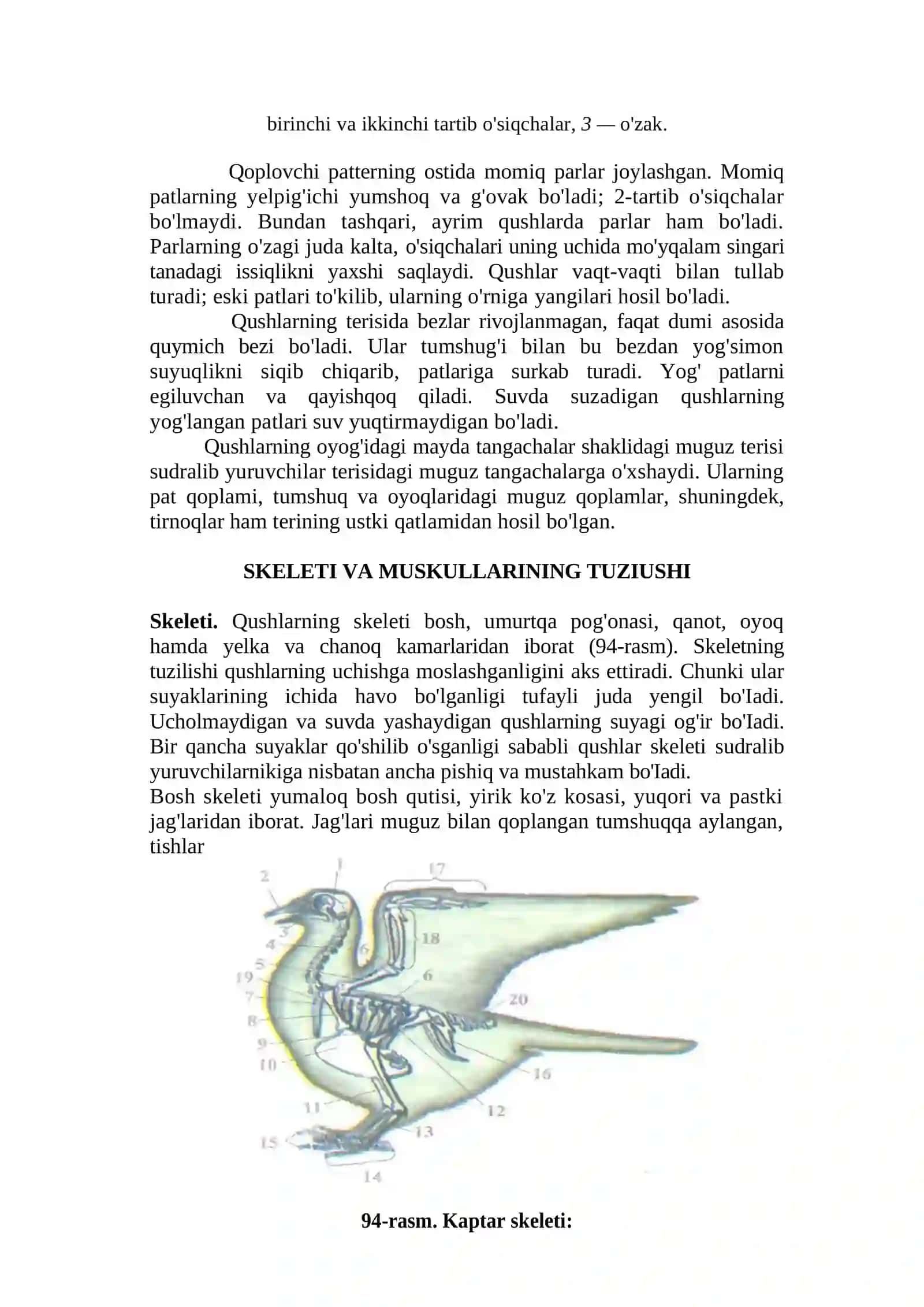 QUSHLAR SINFI 3