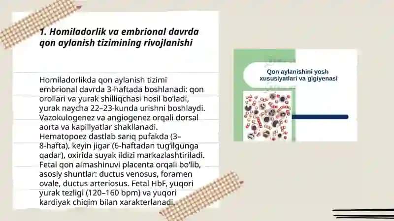 Qon aylanish tizimining yosh xususiyati va gigiyenasi 3