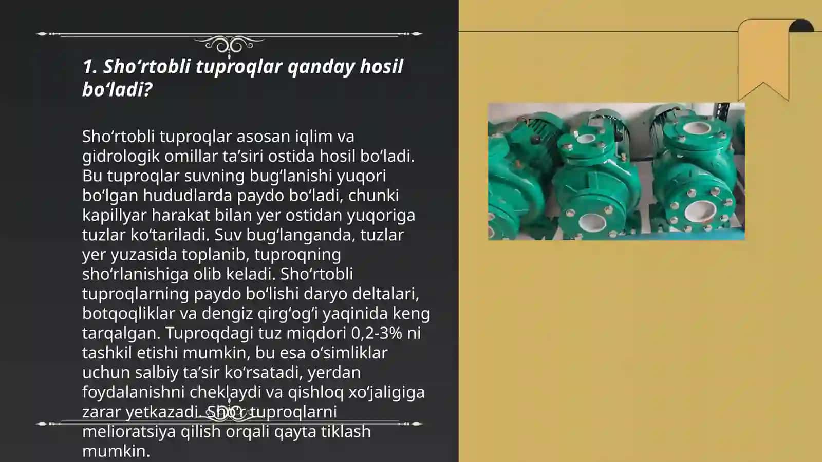 Shoʻrtobli tuproqlar 3