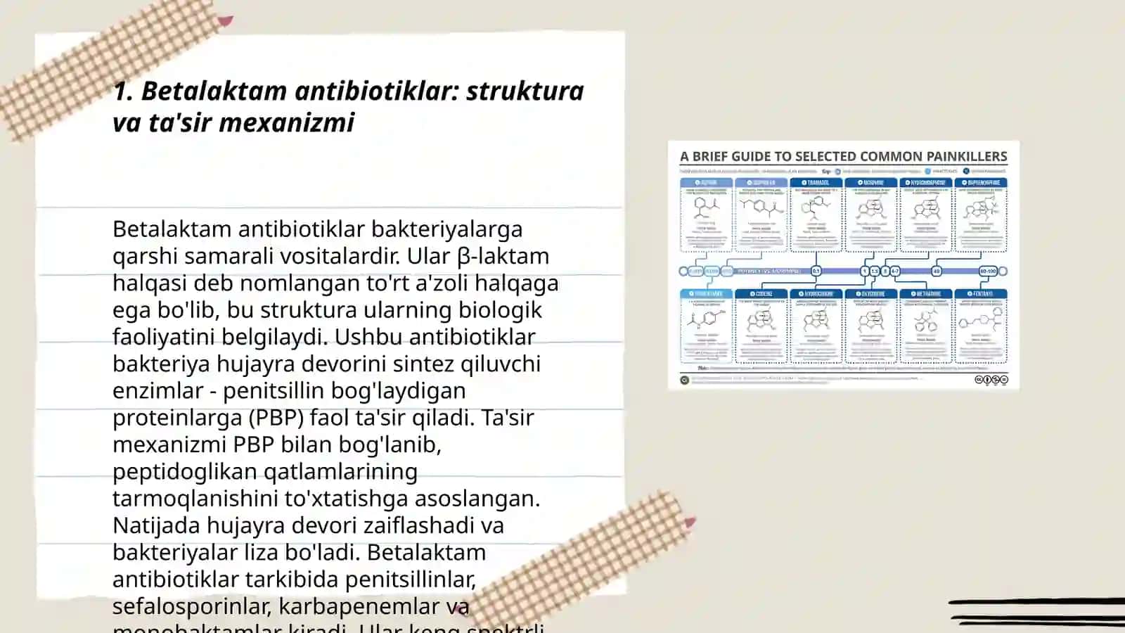Betalaktam antibiotiklar 3