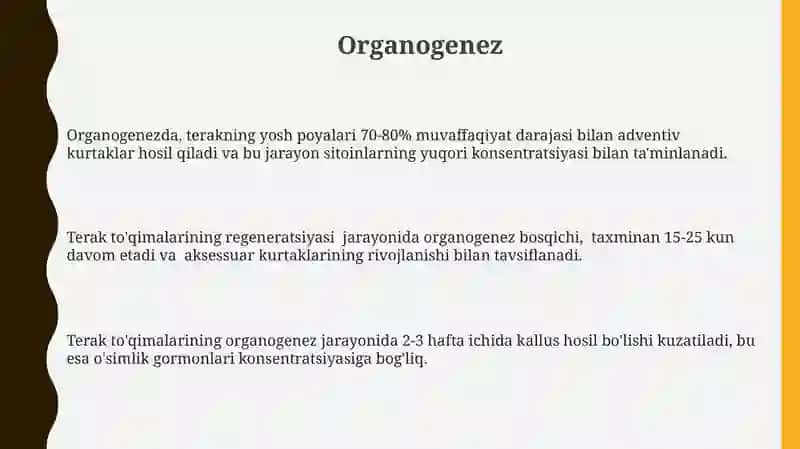 Tog'ay tuqimasining regeneratsiyasi va transplantatsiyasi 3
