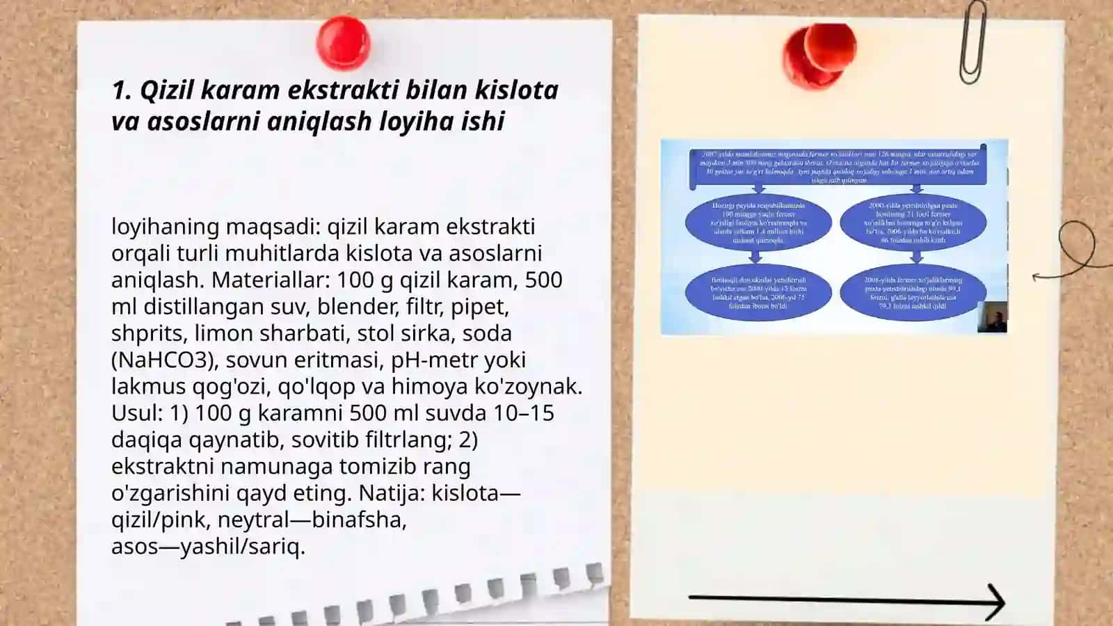 Tabiiy indikatorlar yordamida kislota va asoslarni aniqlash boʻyicha loyiha ishi 3