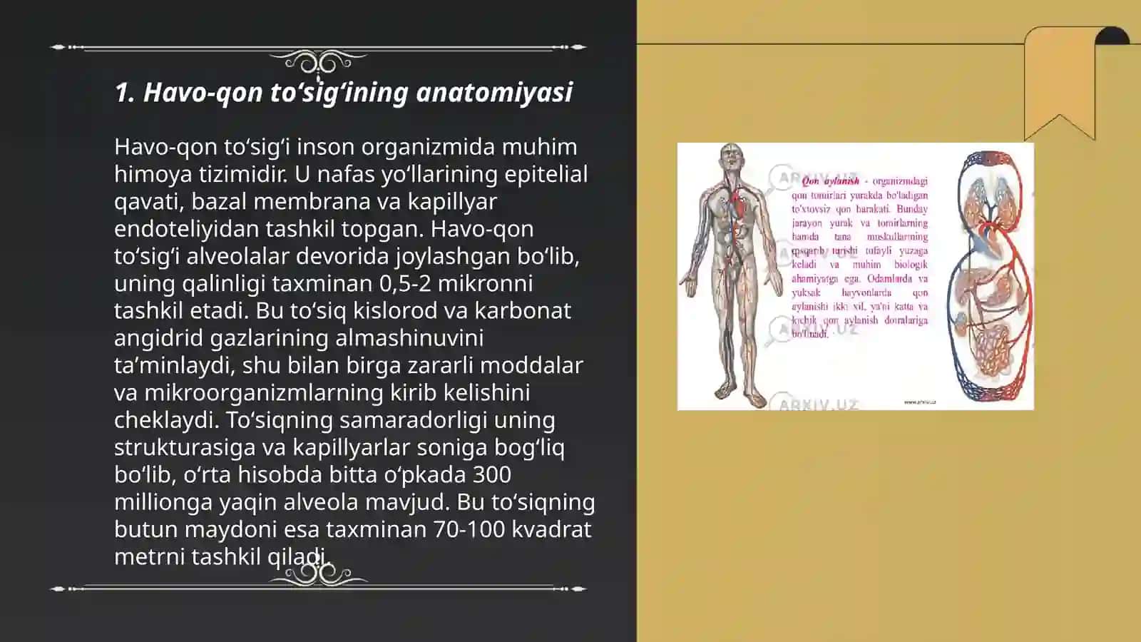 Havo-qon toʻsigʻining tuzilishi, vazifalari va patologiyasi.Atsinusning gistofiziologiyasi.Oʻpkaning regeneratsiyasi va transplantatsiyasi 3