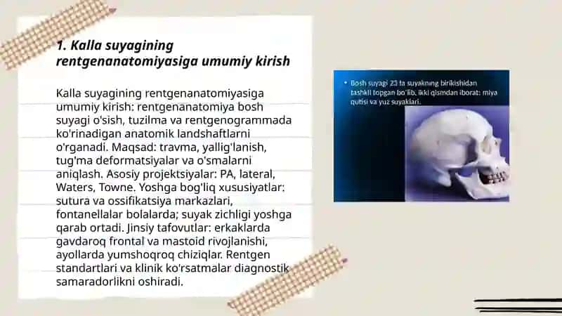 Kalla suyagining rentgenanatomiyasi. Kalla suyagining yosh va jins tafovutlari. 3