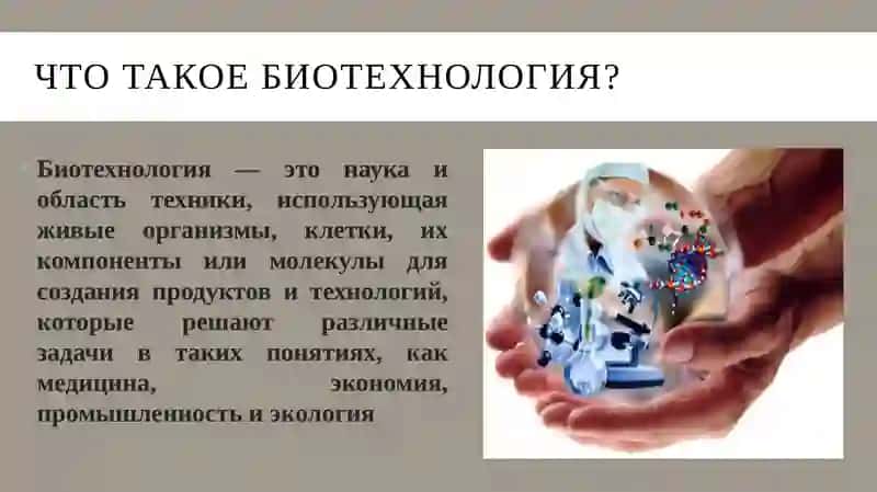 Биотехнология в медицине 3