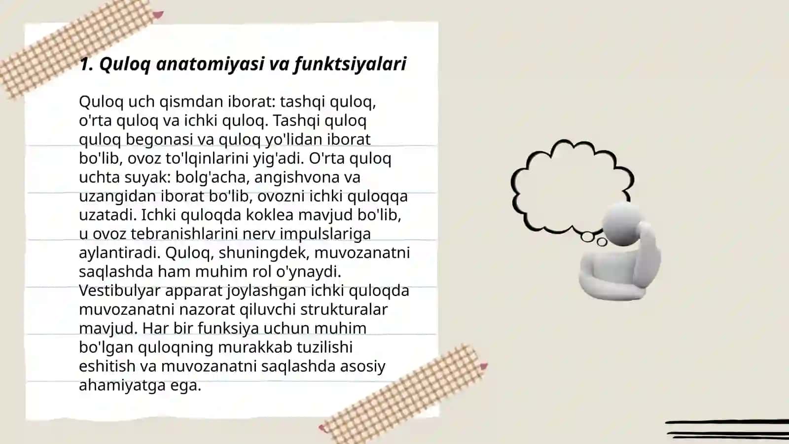 Quloq anomaliyalari, Yuz nervi anatomiyasi va kasaliklari 3