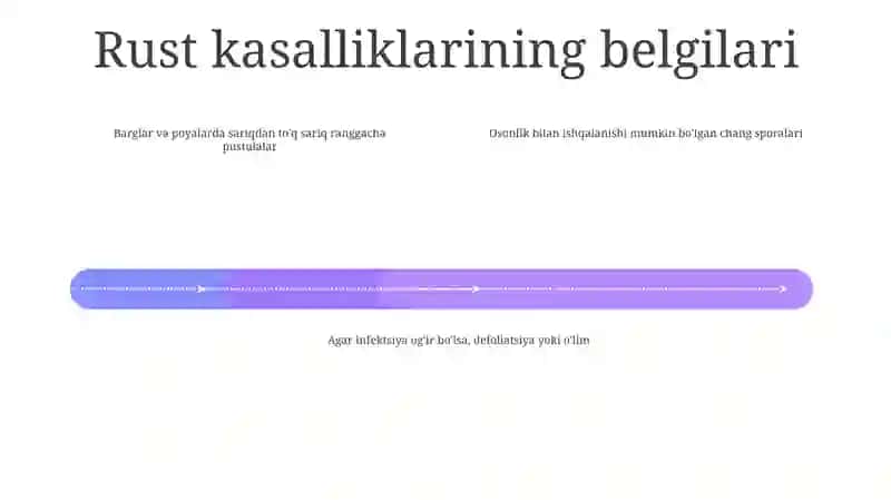 OʻSimliklarda Zang Kasaliklari 3