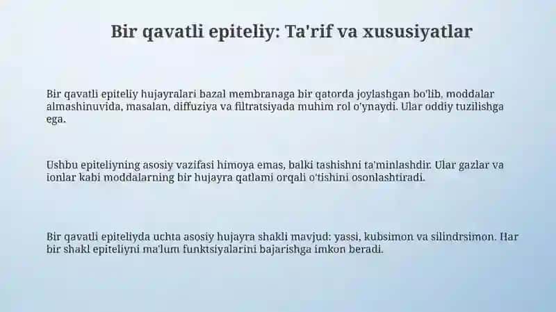 Bir qavatli epiteliy 3