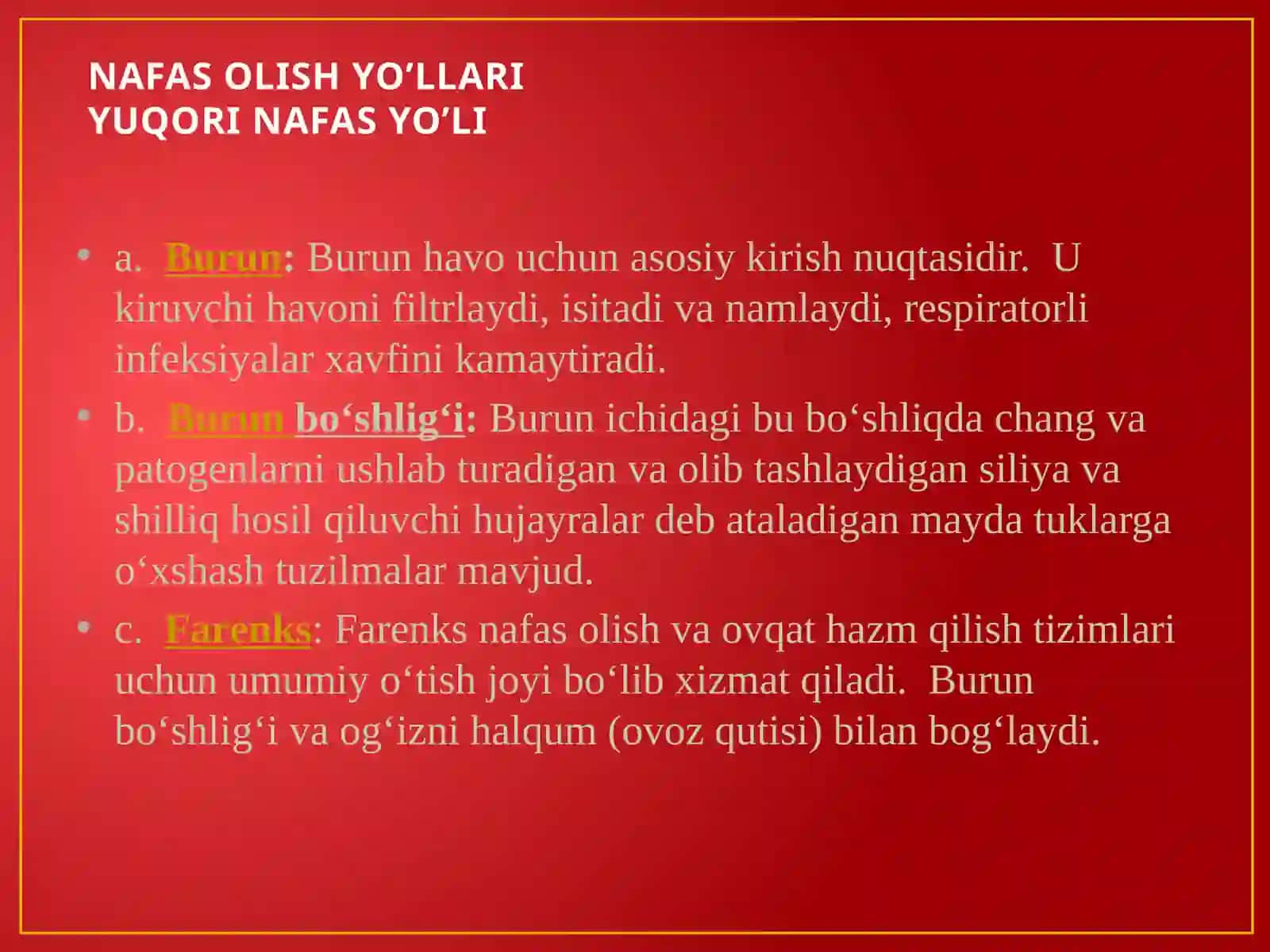 Nafas olish tizimi 3