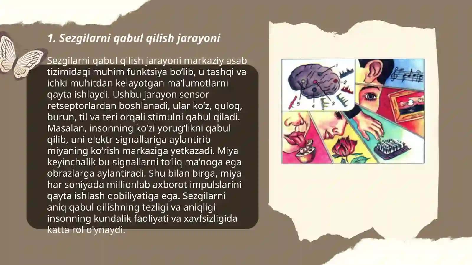 Sezgi va adabtatsiya haqida tushuncha 3