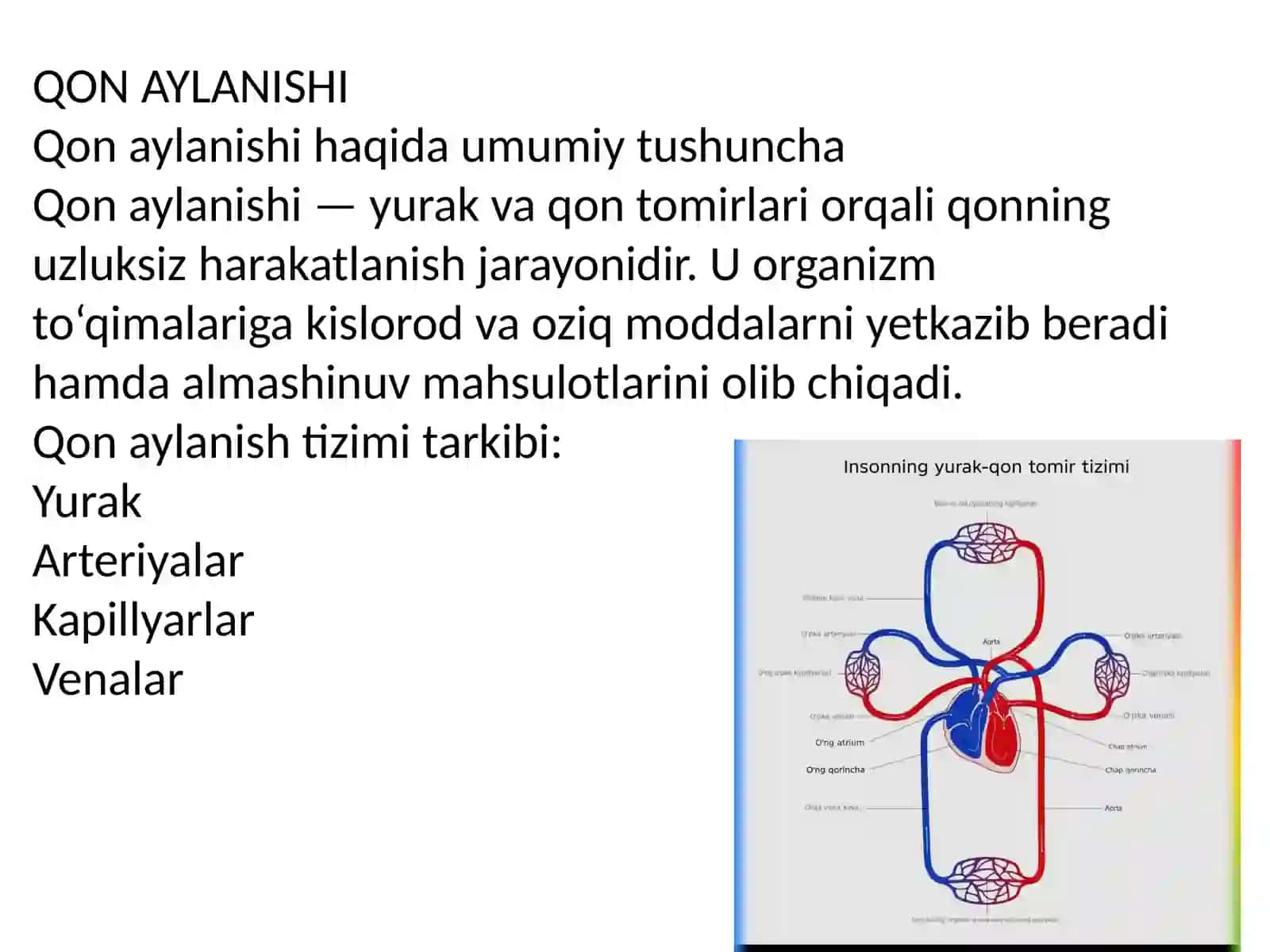 QON AYLANISHI VA YURAK MUSHAGI (FIZIOLOGIYA) 3