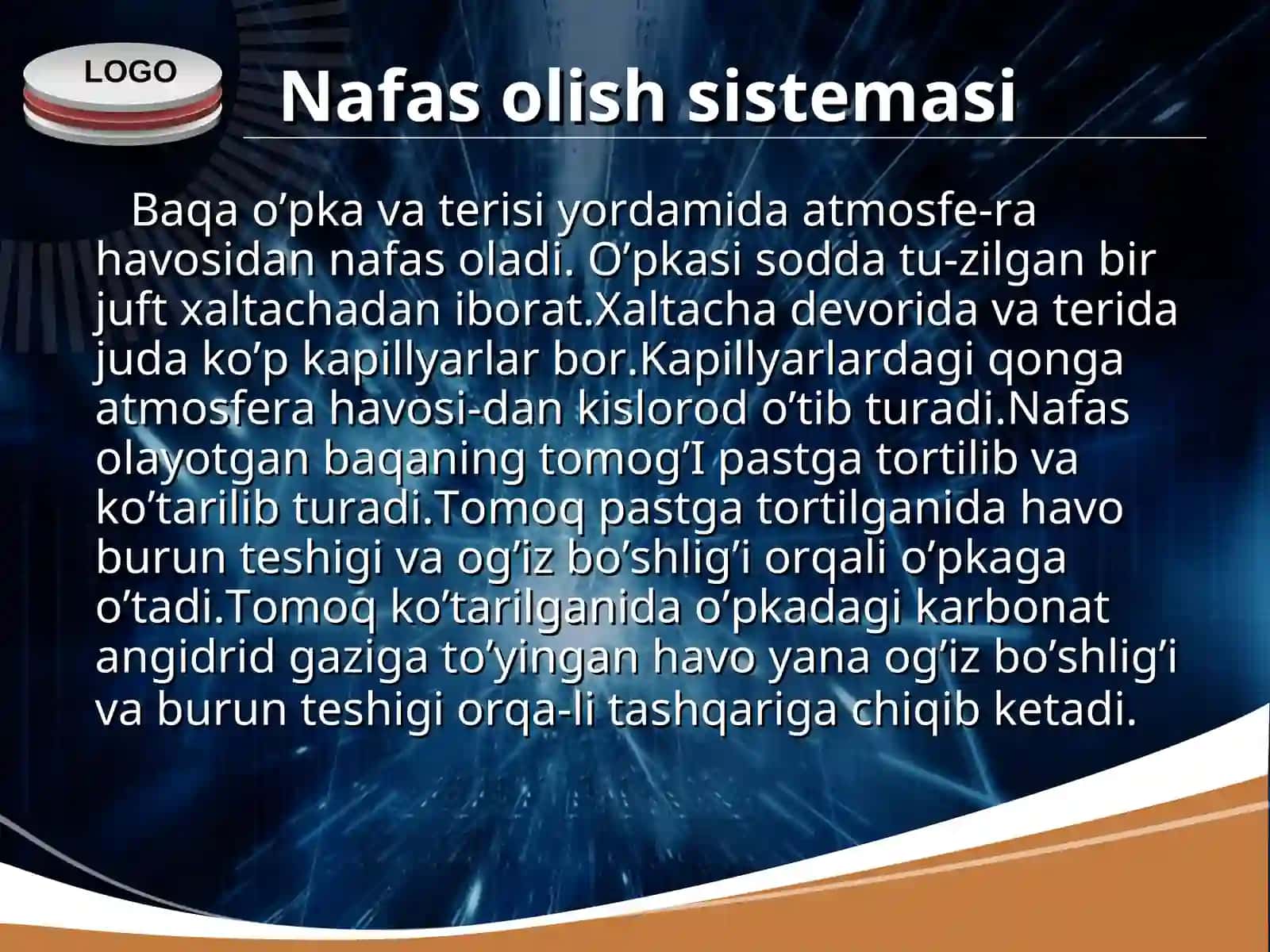Ko’l baqasining ichki tuzilishi 3